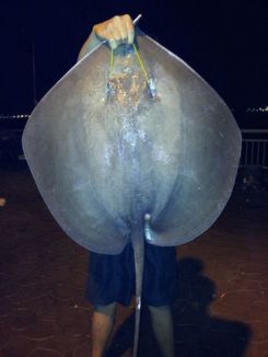 20120916_lk9.5kg_375x500