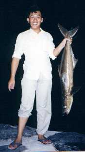9kg-cobia