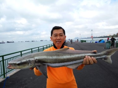 cobia-20170101_094416-1