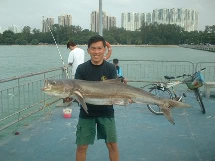 cobia030207