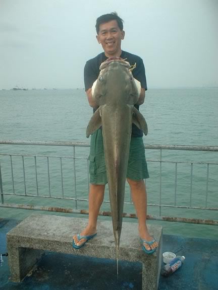cobia030207b