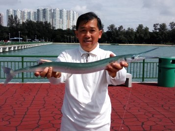 garfb20170225_105709