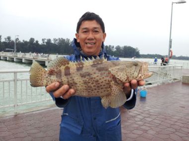 grouper1.7kg_500x375.jpg