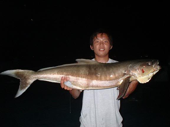 xhcobia1