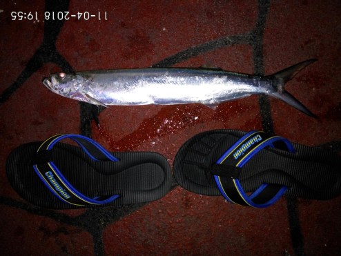 IMG_20180411_195535_1523448526052