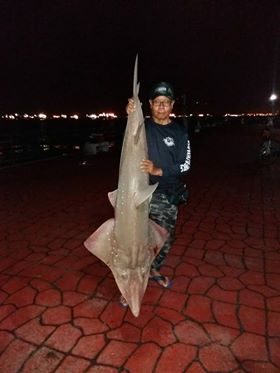 46005721_716254248752864_5058943657567059968_n